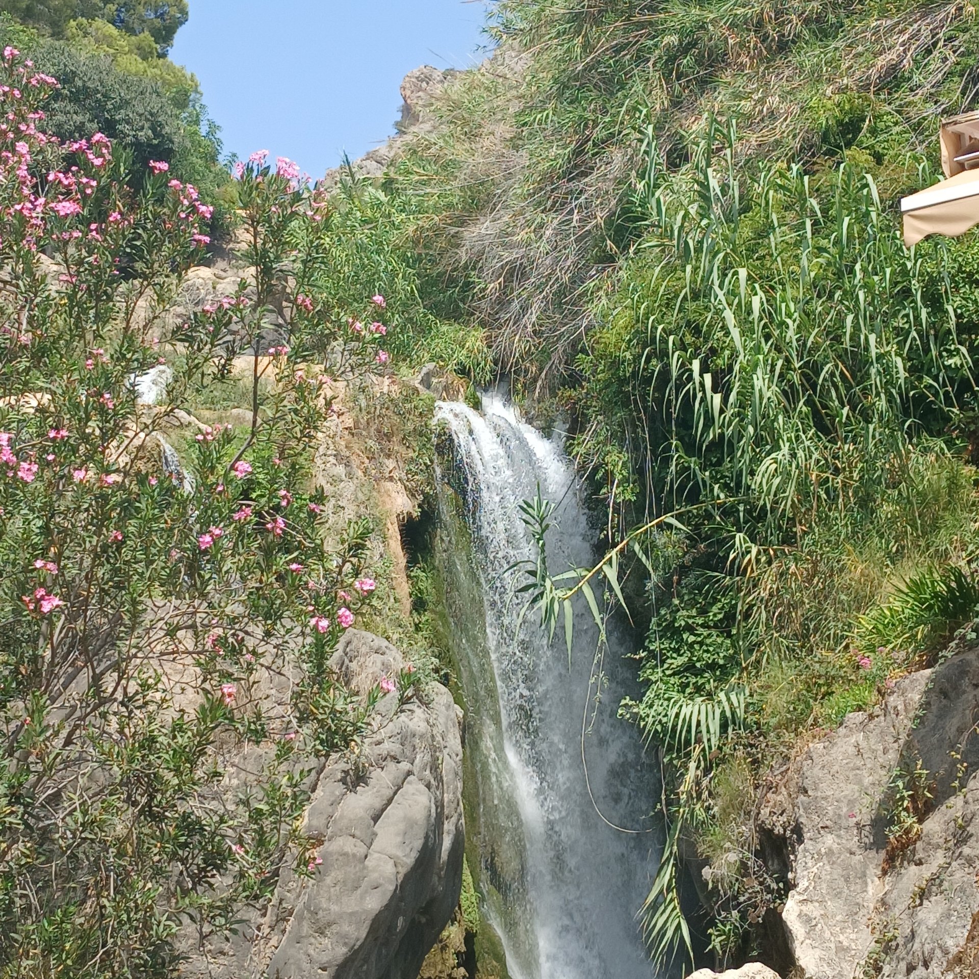 Фото к отзыву о туре Benidorm, Altea y las Fuentes del Algar