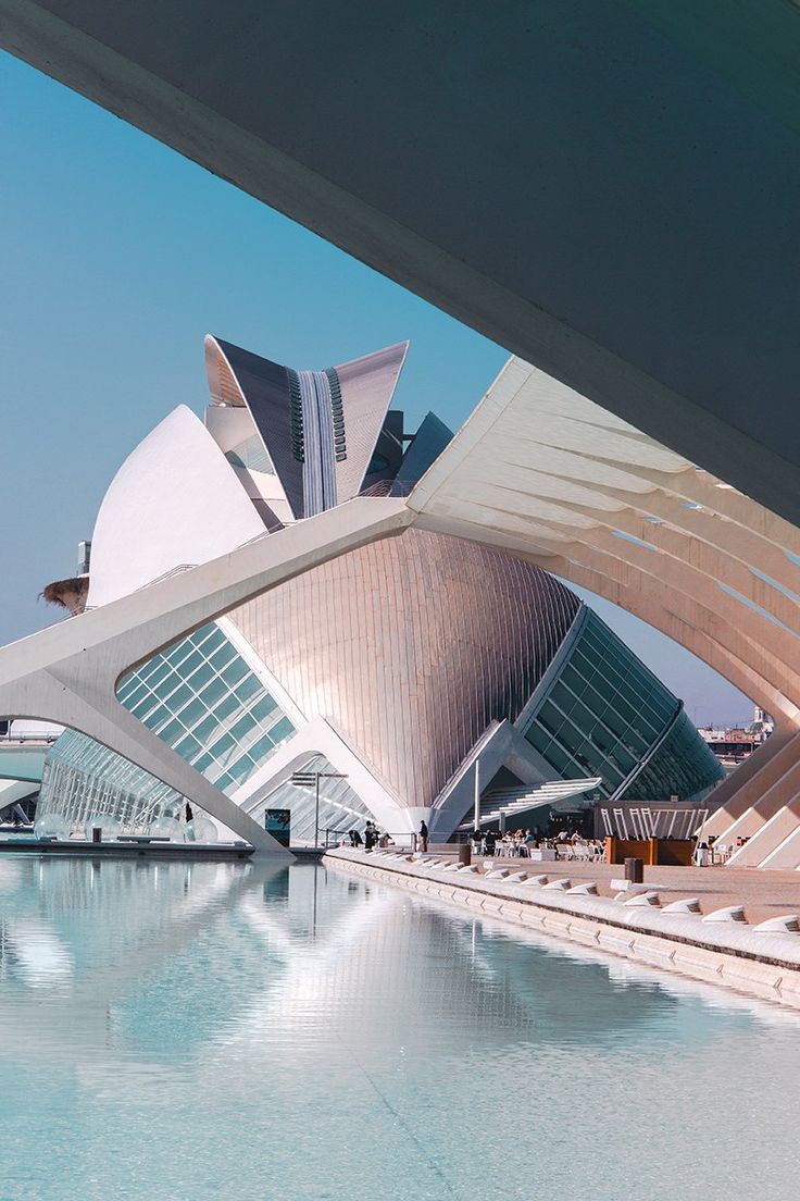 Traslado al Acuario de Valencia - el más grande de Europa