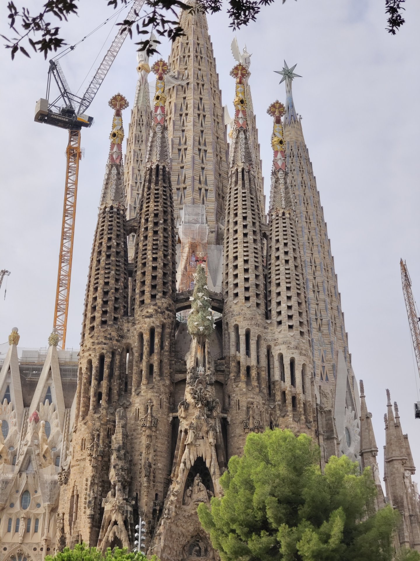 Фото к отзыву о туре Barcelona, Montserrat, Dali